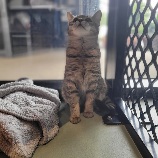 Photo of Oliver
