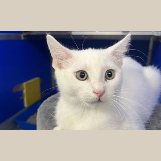 Photo of Cloud