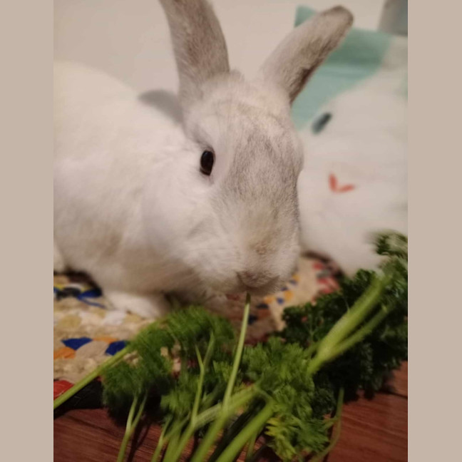 Photo of Adorable Piotr