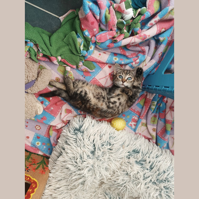 Photo of Holly Bloom