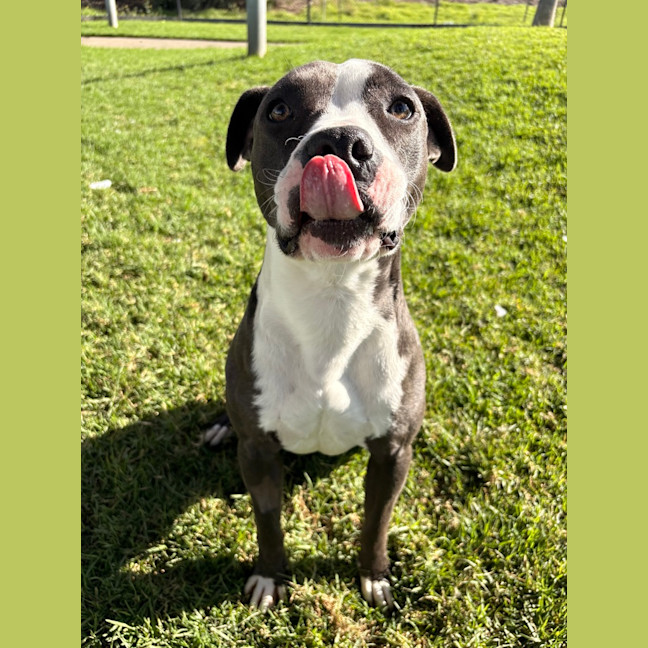 Photo of Zena