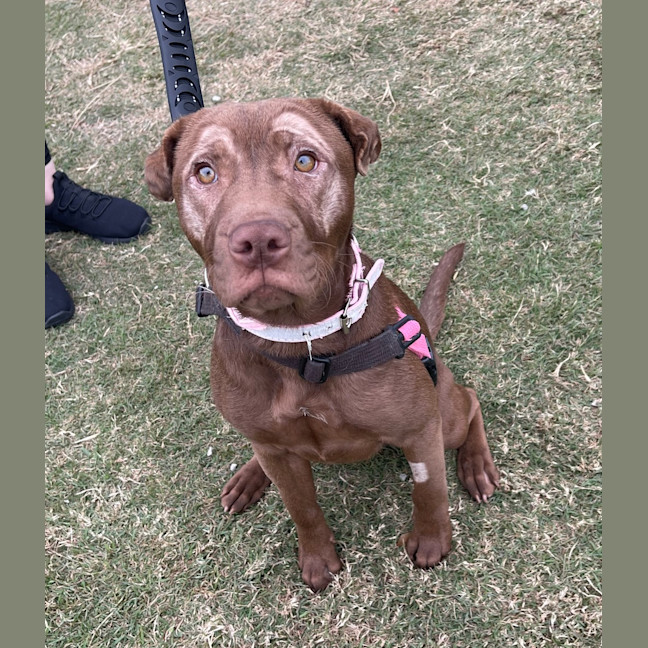 Photo of Echo