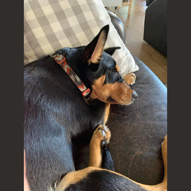 Photo of Narla