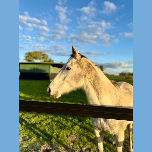 Photo of Barry