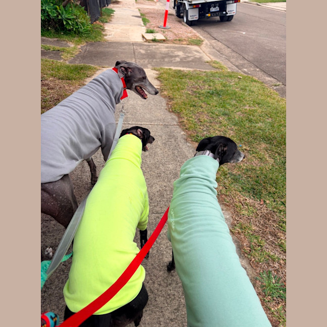 Photo of Tee