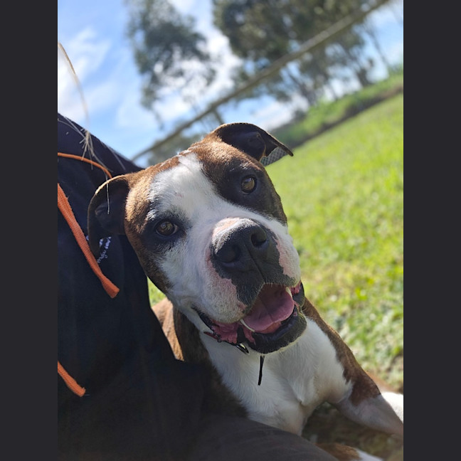 Photo of Tank