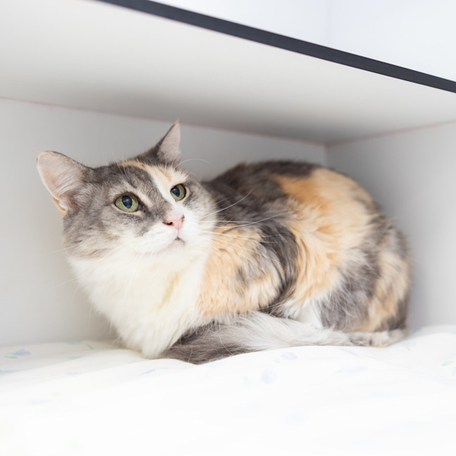 Photo of Zoe