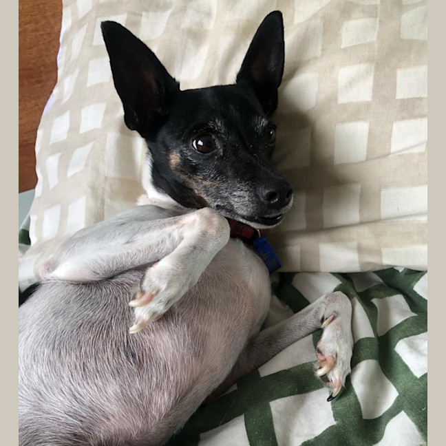 Photo of Tilly And Finn