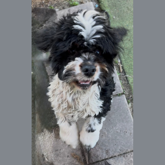 Photo of Maggie