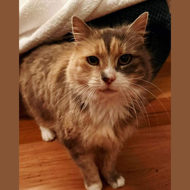 Photo of Millie