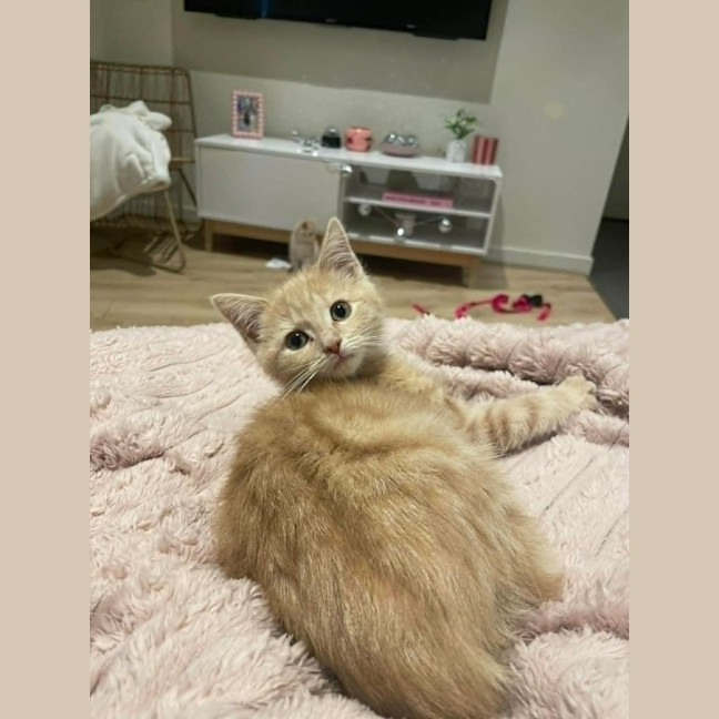Photo of Sunny