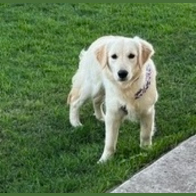 Photo of Butter