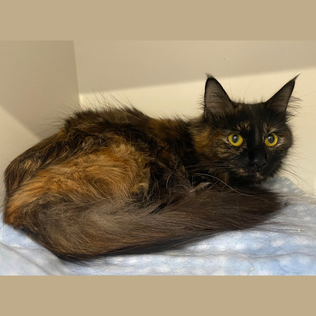 Photo of Esmeralda