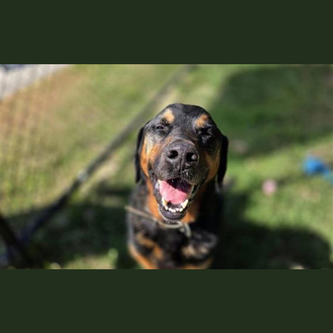 Photo of Chase