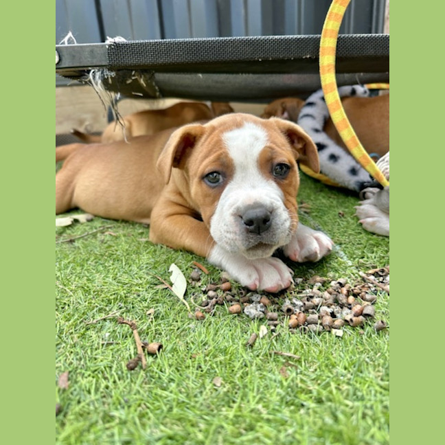 Photo of Swatch