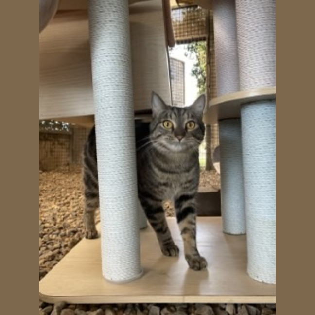 Photo of Monty