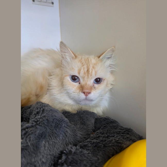 Photo of Finnegan
