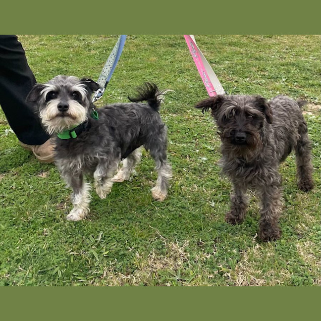 Photo of Ruth And Remi