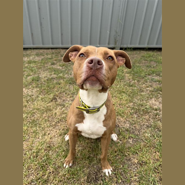 Photo of Trix