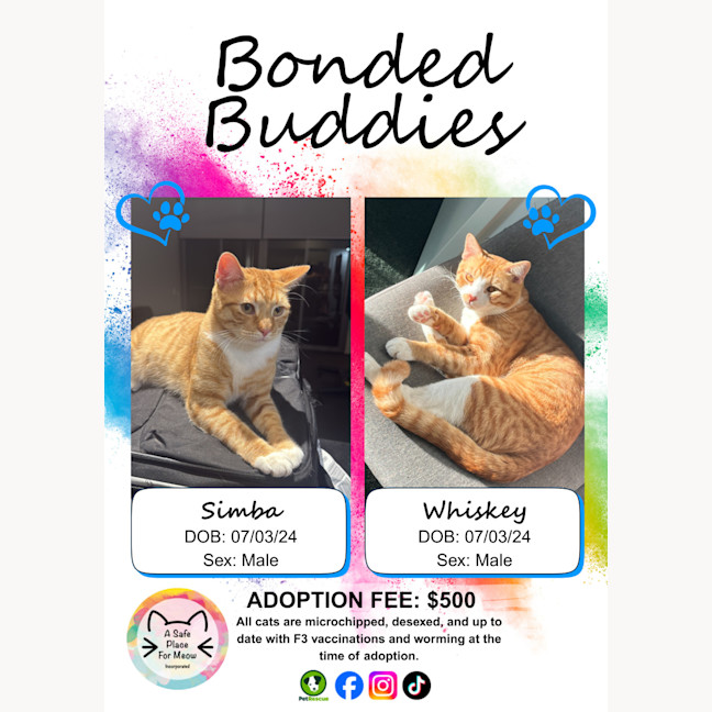 Photo of Whiskey And Simba