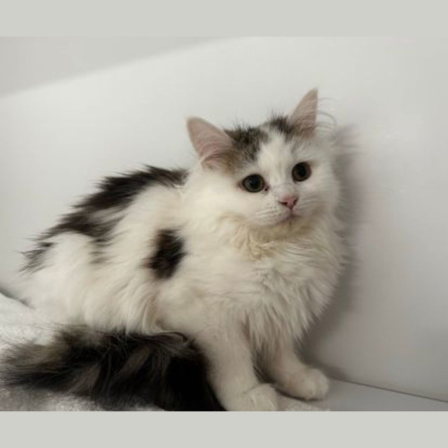 Photo of Josephine