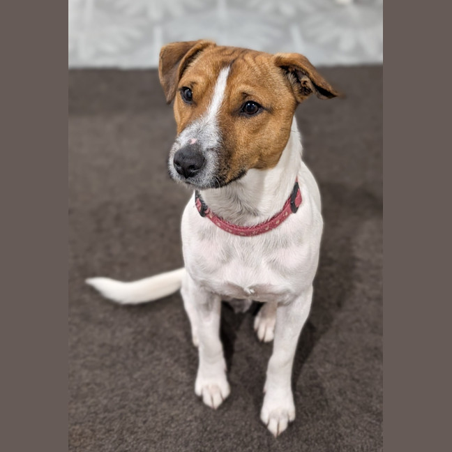 Photo of Zuzu