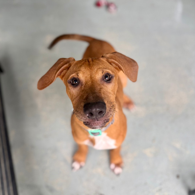 Photo of Reign