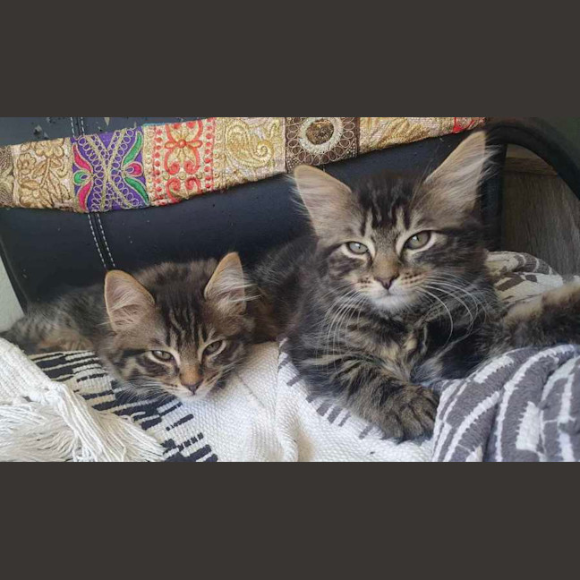 Photo of Memphis And Lucille