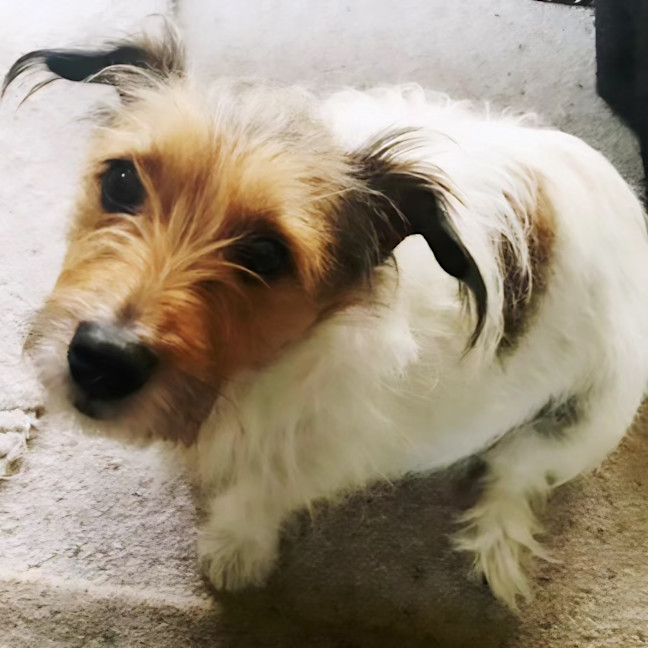 Photo of Maisie