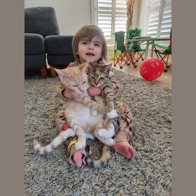 Photo of Ginger & Lily