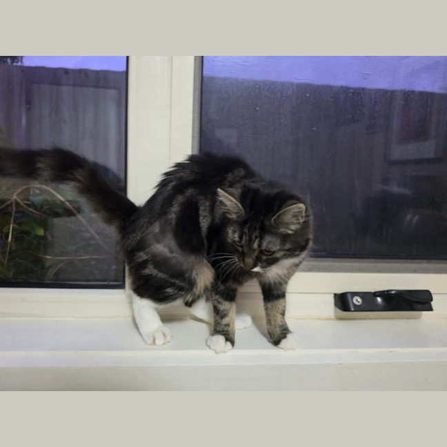 Photo of Tuxy