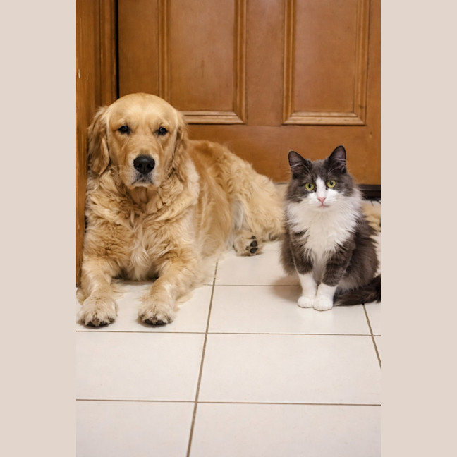 Photo of ꨄ︎ Meredith ꨄ︎