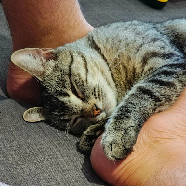 Photo of Marceline   In Foster Care In Preston