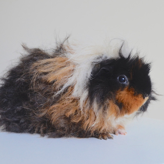 Photo of Miss Mumbles