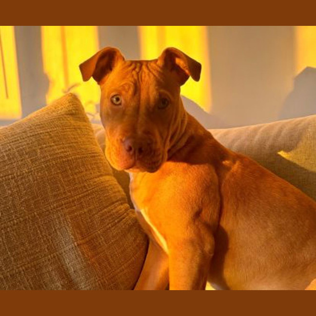 Photo of Diva