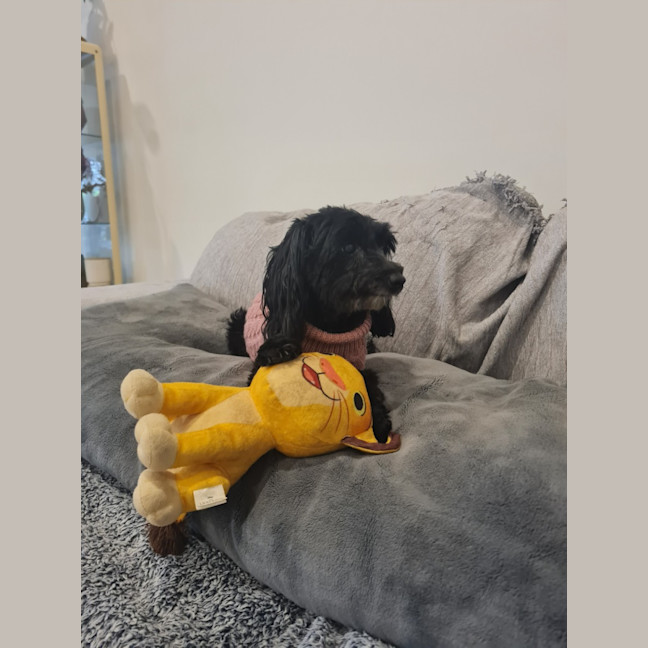 Photo of Ruby