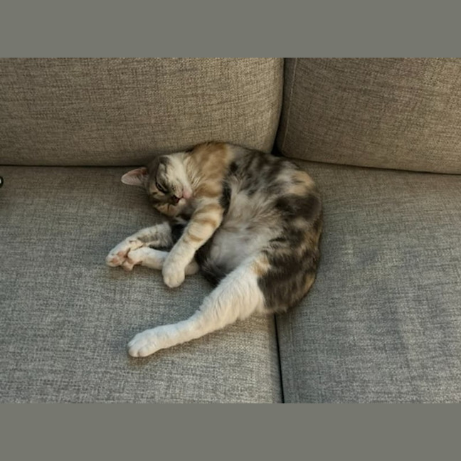 Photo of Claudia