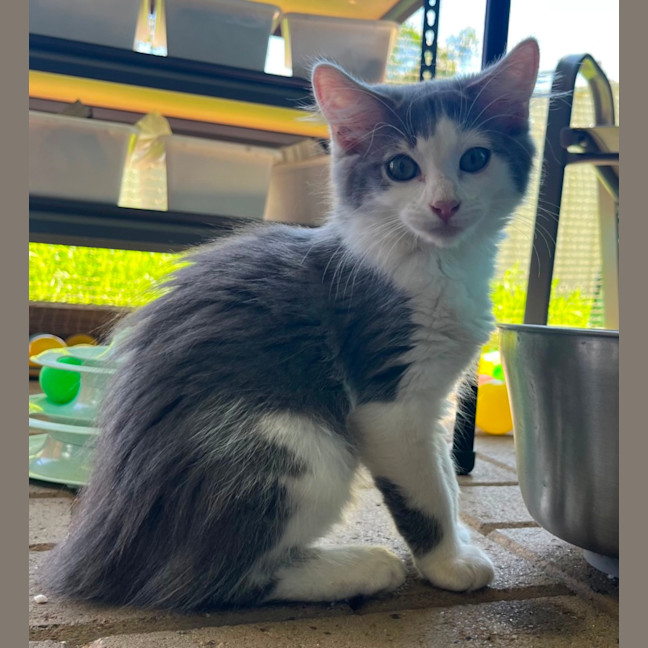 Photo of Maisy