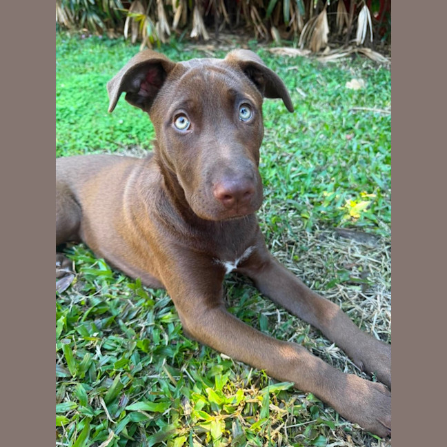Photo of Charlotte