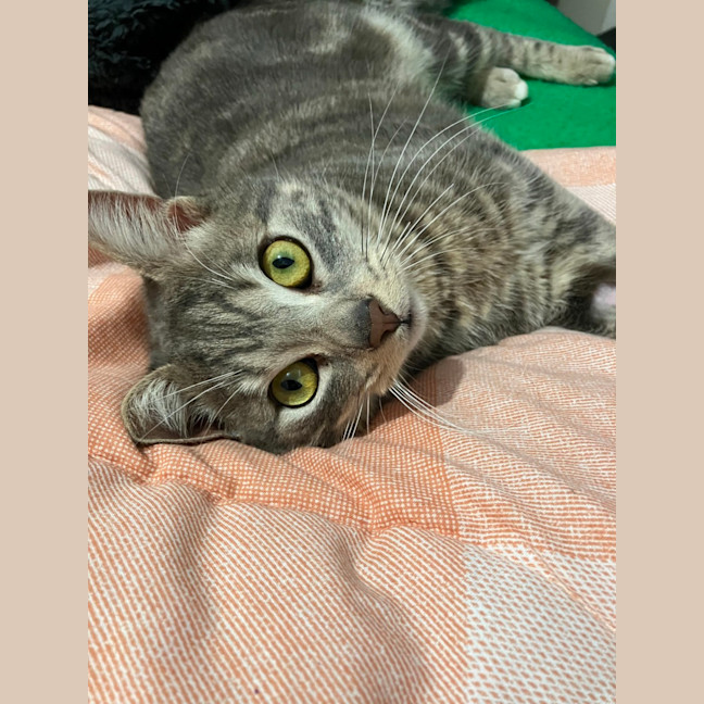 Photo of Big Ted & Little Roger