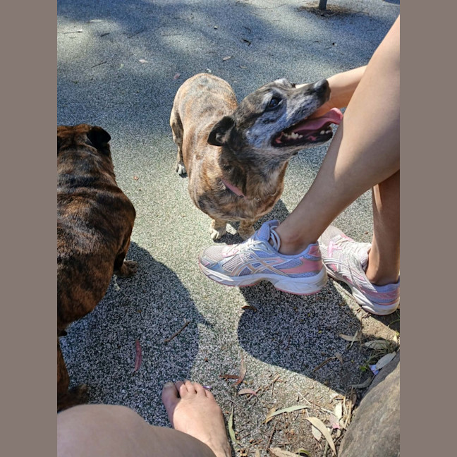 Photo of Tiny And Shorty 💜