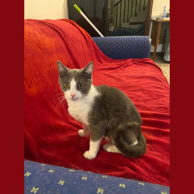 Photo of Jasper