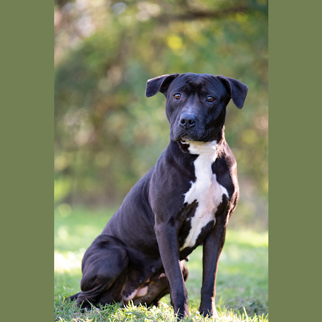 Photo of Roxy