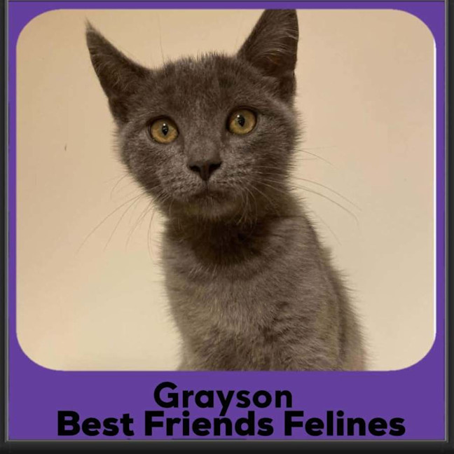 Photo of Grayson