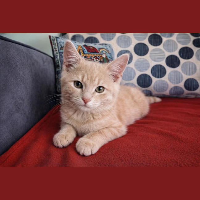 Photo of Bill