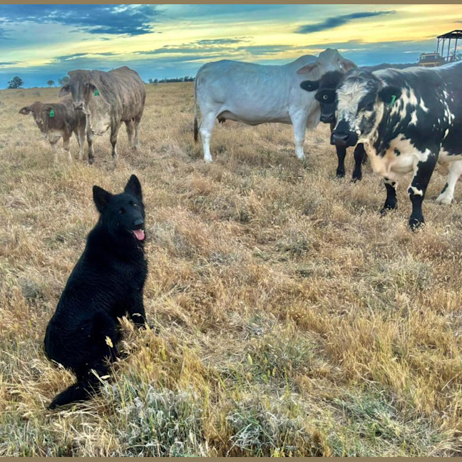 Photo of Lucy