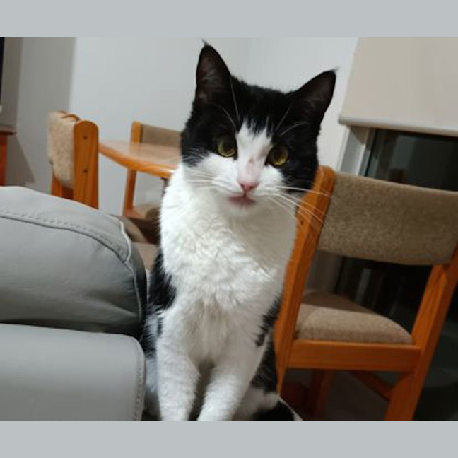 Photo of Eleanor