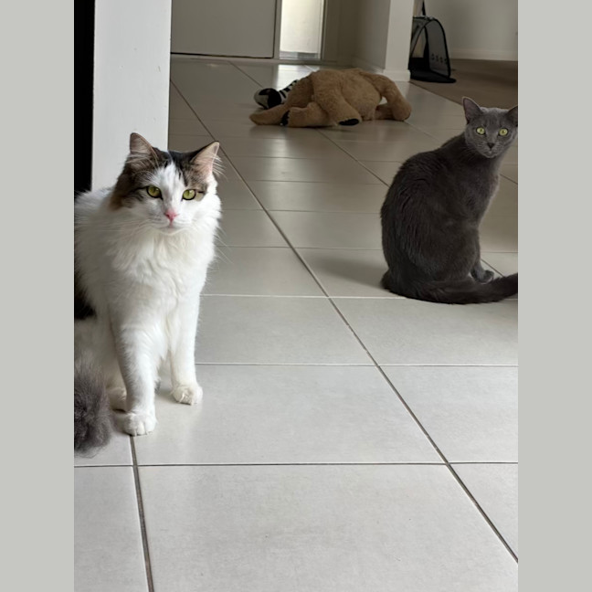 Photo of Nori & Nina