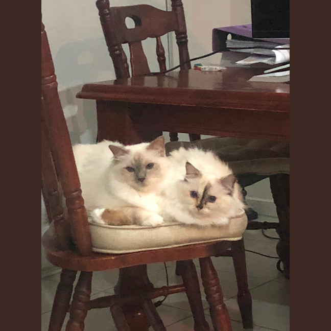 Photo of Kozzie & Anna