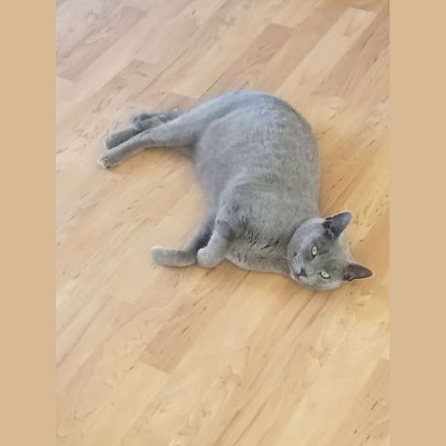 Photo of Smoke